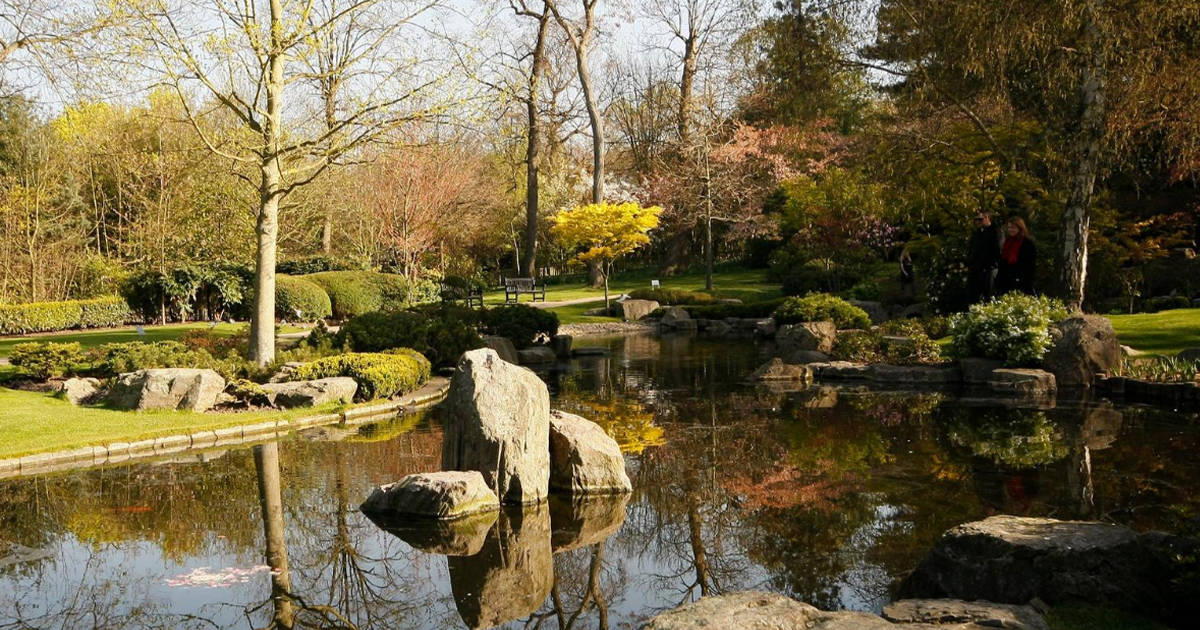 Kyoto Gardens, Holland Park