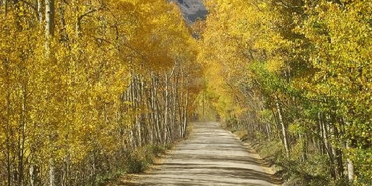 Boreas Pass Road