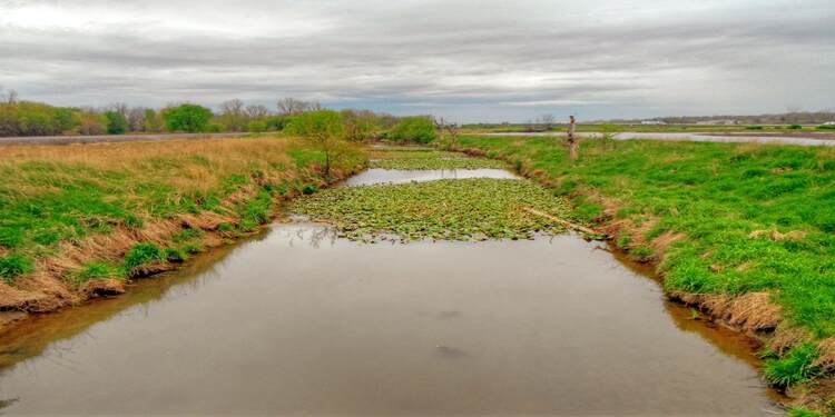 Eagle Marsh Nature Preserve, Fort Wayne IN