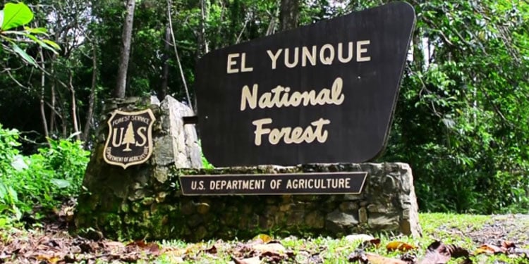 El Yunque National Park