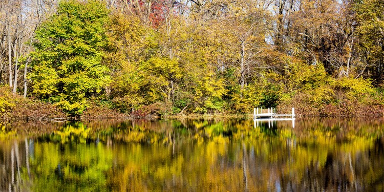 fox island park