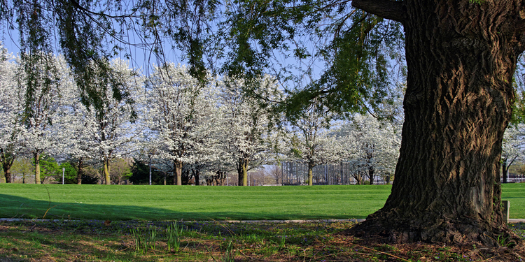 headwater park 