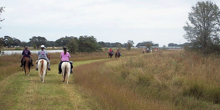 Horseback Riding