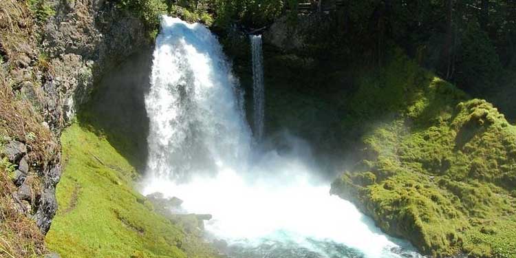 Mckenzie River National Recreation trail