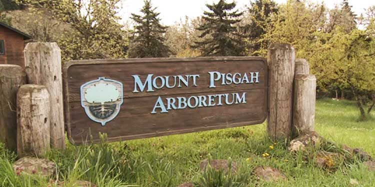 Mount Pisgah Arboretum