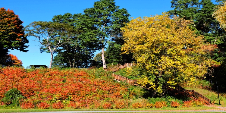 Saratoga Springs Waterfront Park