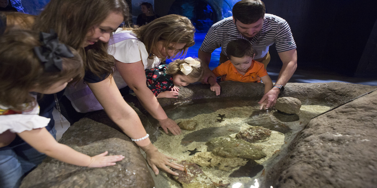 Shreveport Aquarium