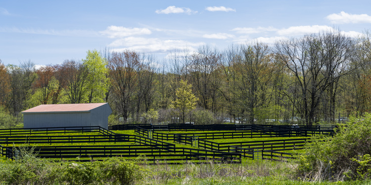 Saratoga Spring Horse Show White Hollow Farm