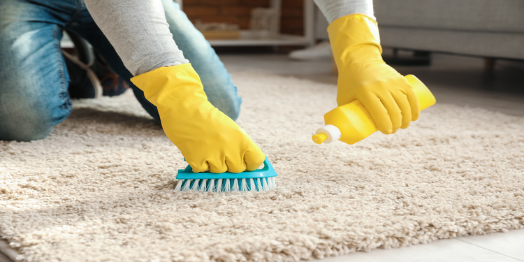 How to Remove Paint From Carpet