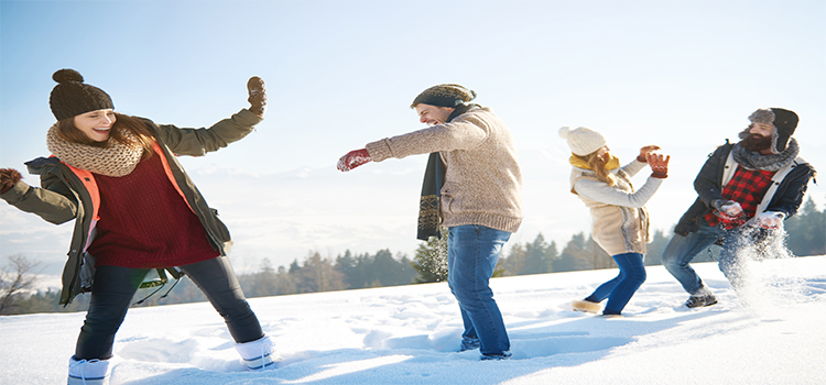 Have-a-Snowball-Fight-