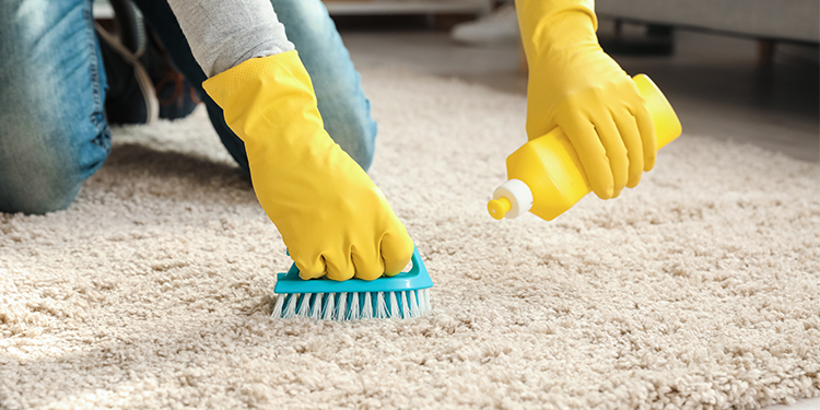 How to Clean Carpet Without Machine