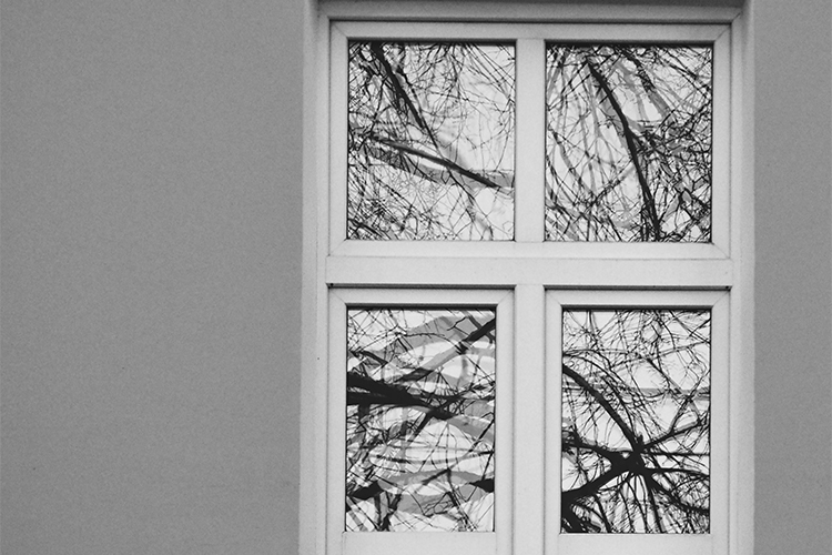 How to Remove Double Hung Screen