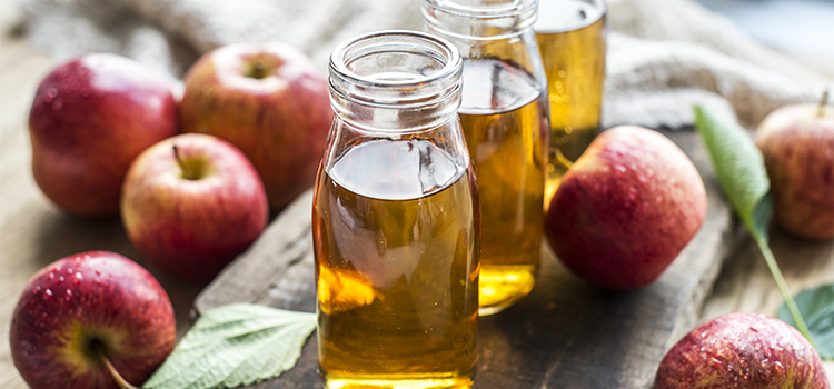 Making an Apple Cider Vinegar Trap