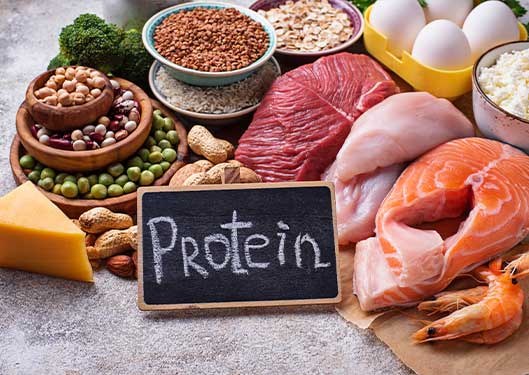 Protein in Your Diet