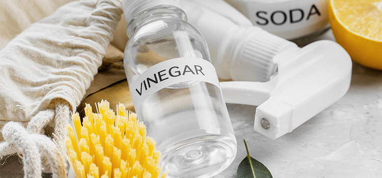 Vinegar and Water Blend Spray