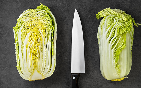 Cutting Napa Chinese Cabbage