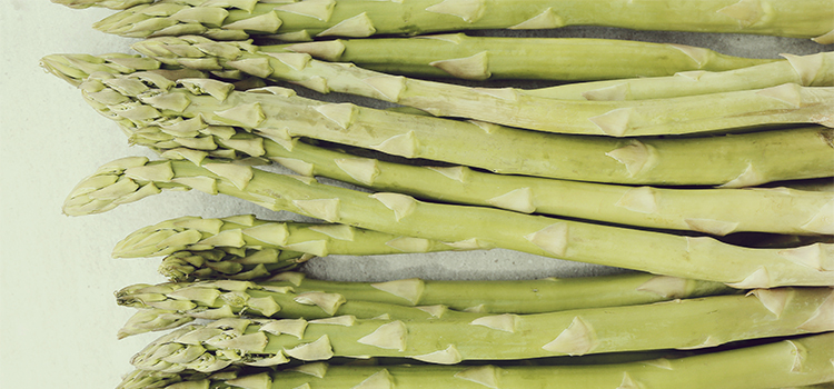 Growing Mold in Your Asparagus