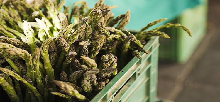 What Should I Look for While Buying Asparagus