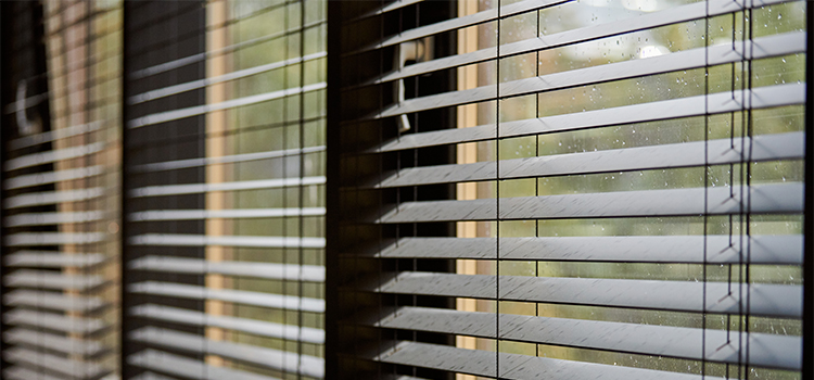 types of blinds for window
