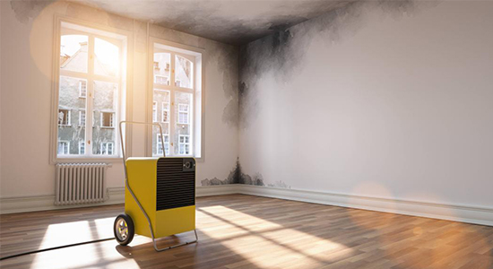 Bring Dehumidifiers and Fans To Dry the Carpet