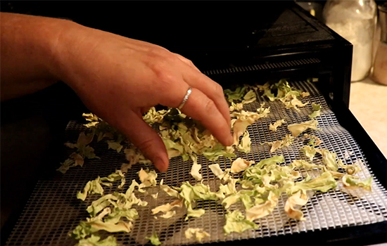Dehydrating Cabbage To Keep It Intact