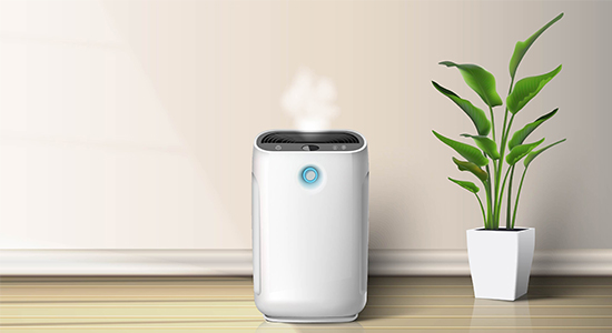 Install Air Purifier in the Basement