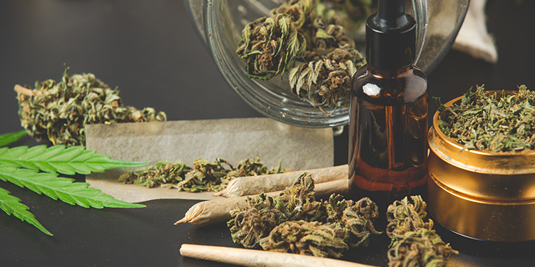 How To Get Rid of Weed Smell From Your Room, Clothes, Car, or Body