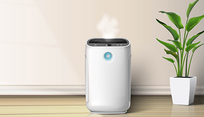 Invest in an Air Purifier
