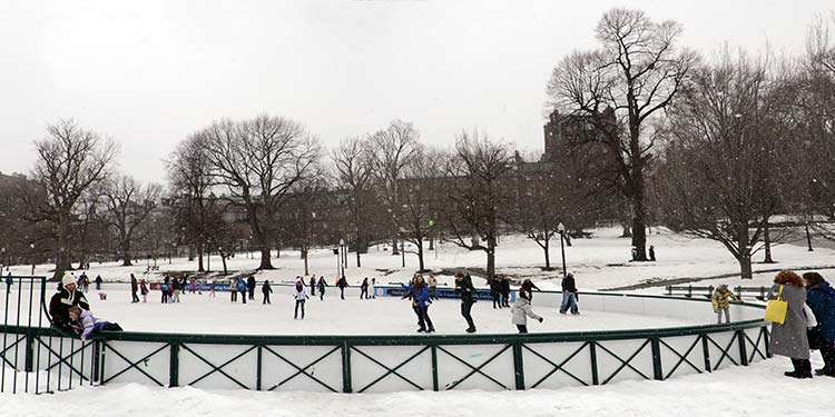 Boston Common Frog Pond