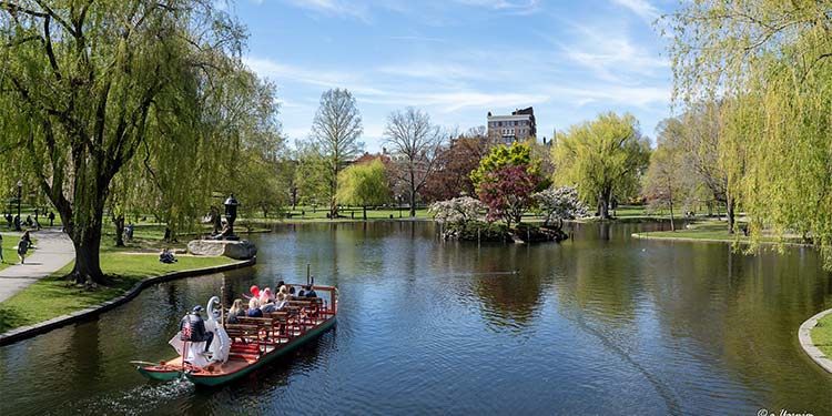 Boston Public Garden