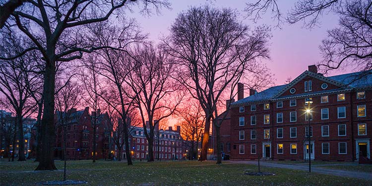 Harvard University