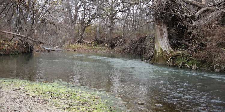 Medina River Natural Area