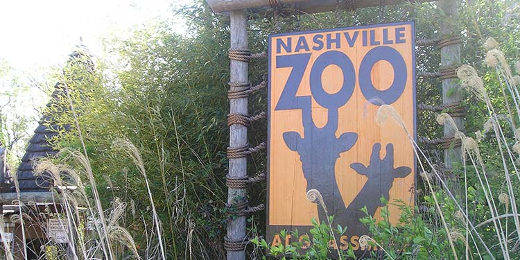 Nashville Zoo
