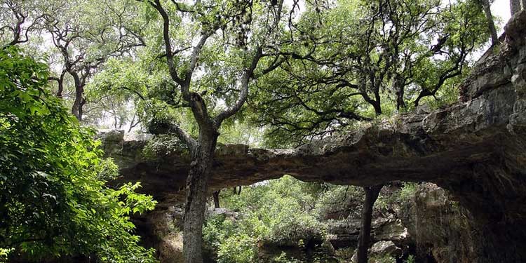 Nature Bridge Caverns