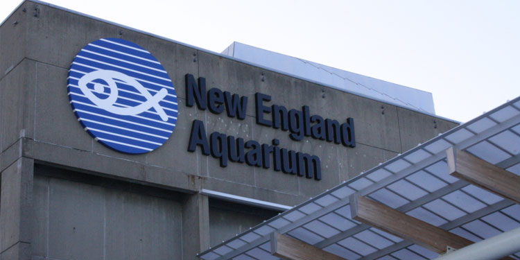 New England Aquarium 