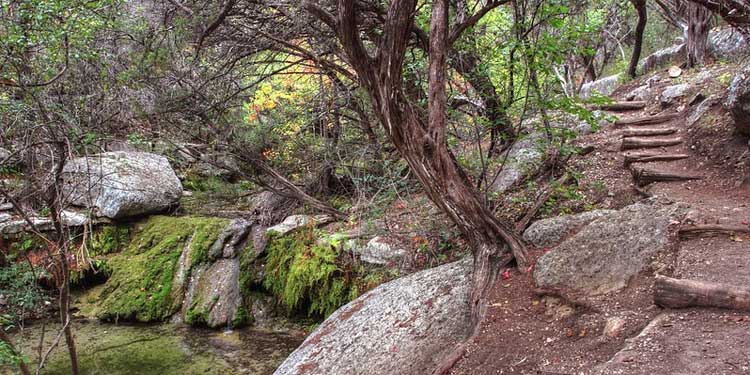 River Place Nature Trails