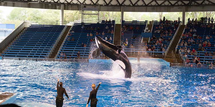 Seaworld San Antonio