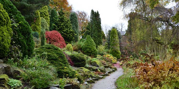 Discover Beauty at the Fletcher Moss Park and Botanical Garden