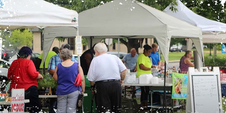 Discover Local Produce at the Aberdeen Farmers' Market