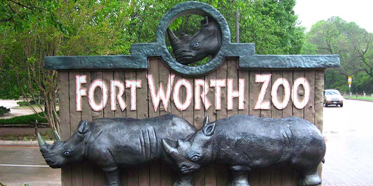 Experience the Fort Worth Zoo