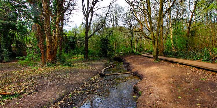 Explore the Inspiration for Lord of the Rings at the Moseley Bog