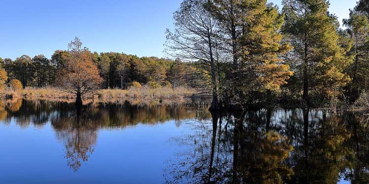 Explore the Outdoors at the Sheldon Lake State Park