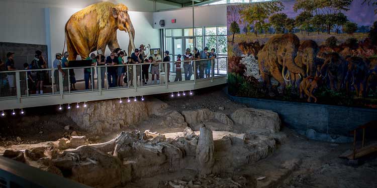 Explore the Waco Mammoth National Monument