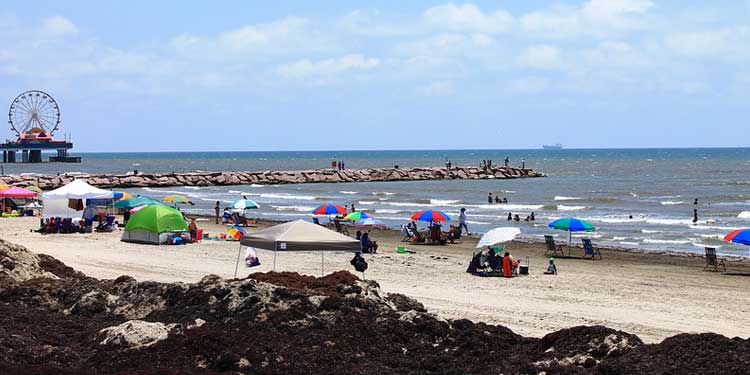 Galveston Beach