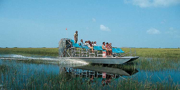gator park airboats