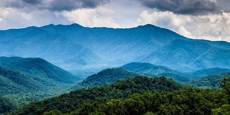 Go Hiking in the Great Smoky Mountains National Park