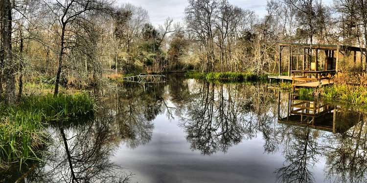 Go Wildlife-spotting at the Armand Bayou Nature Center