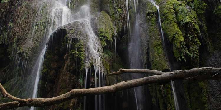 Gorman Falls
