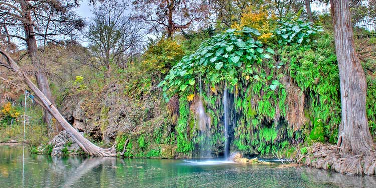 Krause Springs and Waterfall 