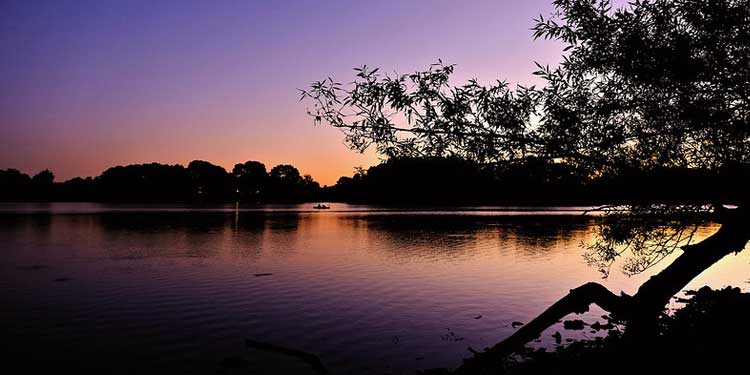 Lake Arlington